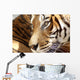 Tete Tigre Wall Decal