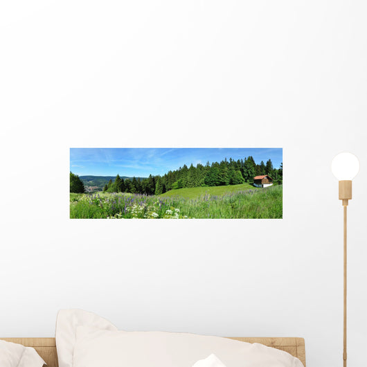 Panoramafoto Th Ringer Wald Wall Decal Panoramic Wall Decal