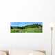 Panoramafoto Th Ringer Wald Wall Decal Panoramic Wall Decal