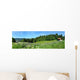 Panoramafoto Th Ringer Wald Wall Decal Panoramic Wall Decal