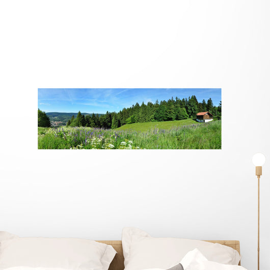 Panoramafoto Th Ringer Wald Wall Decal Panoramic Wall Decal