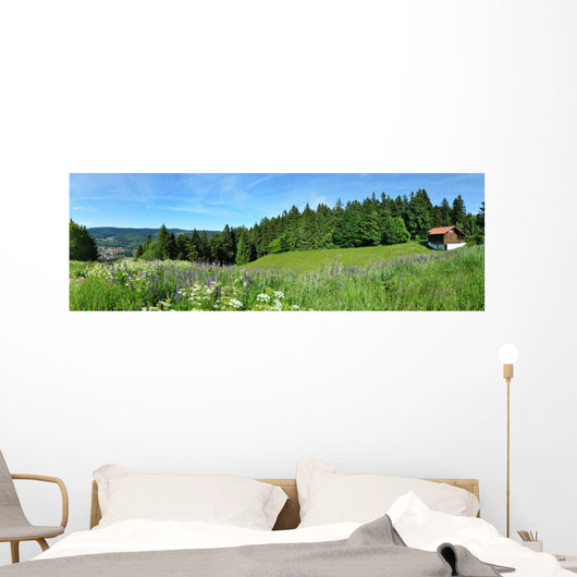 Panoramafoto Th Ringer Wald Wall Decal Panoramic Wall Decal