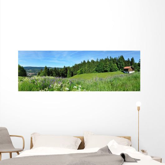 Panoramafoto Th Ringer Wald Wall Decal Panoramic Wall Decal