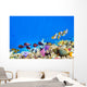 Underwater world with corals and tropical fish. Wall Mural