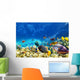 Underwater world with corals and tropical fish. Wall Mural