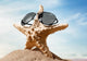 Sunglasses Beach Starfish with Wall Decal