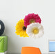 Gerbera Flowers White Wall Decal