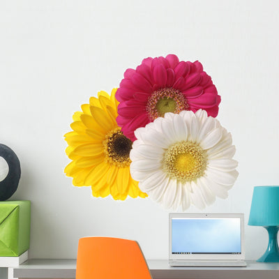 Gerbera Flowers White Wall Decal shown on a wall