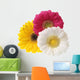 Gerbera Flowers White Wall Decal