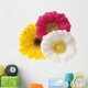 Gerbera Flowers White Wall Decal