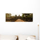 Bayon Panoramic North Entrance Wall Decal