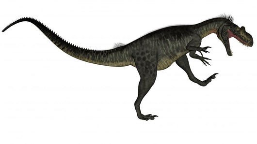 Megalosaurus dinosaur - 3D render Wall Decal