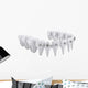 Dental Brackets Wall Decal