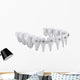 Dental Brackets Wall Decal