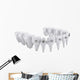 Dental Brackets Wall Decal