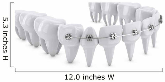 Dental Brackets Wall Decal