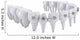 Dental Brackets Wall Decal