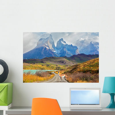 Majestic Day Patagonia Wall Decal shown on a wall
