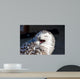 Up Snowy Owl Bubo Wall Decal