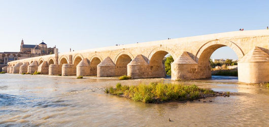 Roman Bridge Cordoba Wall Decal