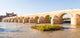 Roman Bridge Cordoba Wall Decal