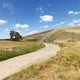 Creek Landscape Wall Decal