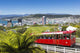 Wellington New Zealand Wall Decal