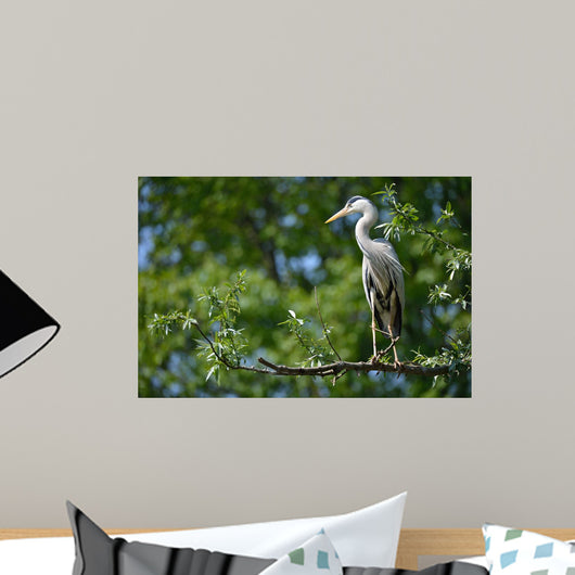 Airone Cenerino Wall Decal