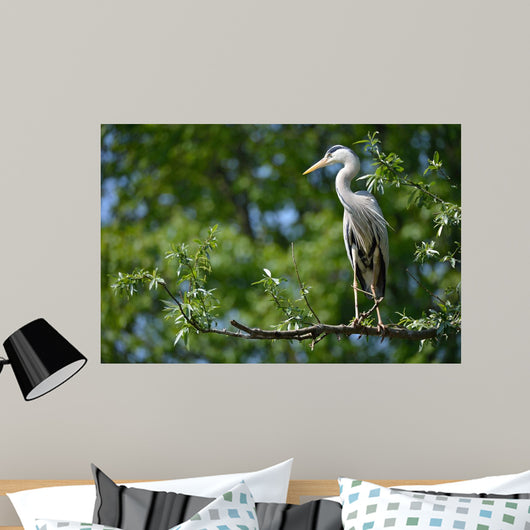 Airone Cenerino Wall Decal