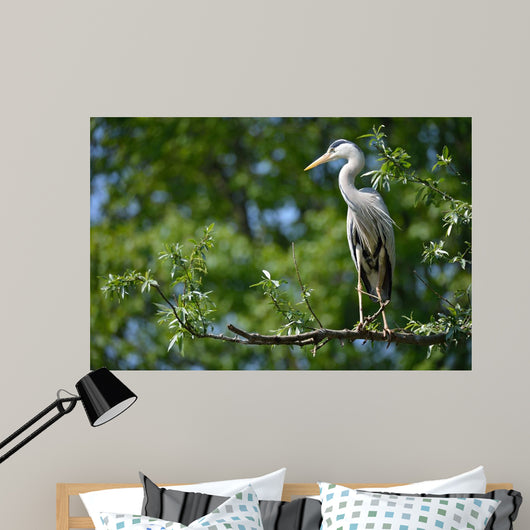 Airone Cenerino Wall Decal