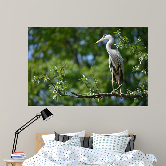 Airone Cenerino Wall Decal