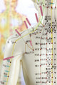 Acupuncture Model Wall Decal