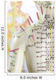 Acupuncture Model Wall Decal