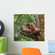 Adult Orangutan Resting Tree Wall Decal