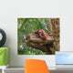 Adult Orangutan Resting Tree Wall Decal
