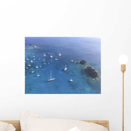 Vista Aerea Porto Gustavia Wall Decal