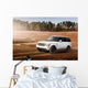 Speed Car Off-road Wall Decal