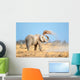 African Elephant Dust Etosha Wall Decal