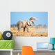 African Elephant Dust Etosha Wall Decal