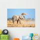 African Elephant Dust Etosha Wall Decal