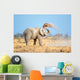 African Elephant Dust Etosha Wall Decal