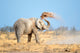 African Elephant Dust Etosha Wall Decal