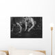 Sportsmen Fit Male Trainer Wall Decal