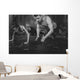 Sportsmen Fit Male Trainer Wall Decal