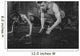 Sportsmen Fit Male Trainer Wall Decal