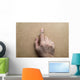 Remember Wall Decal