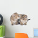 Persian Kitten Wall Decal