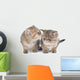 Persian Kitten Wall Decal