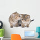 Persian Kitten Wall Decal