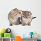 Persian Kitten Wall Decal